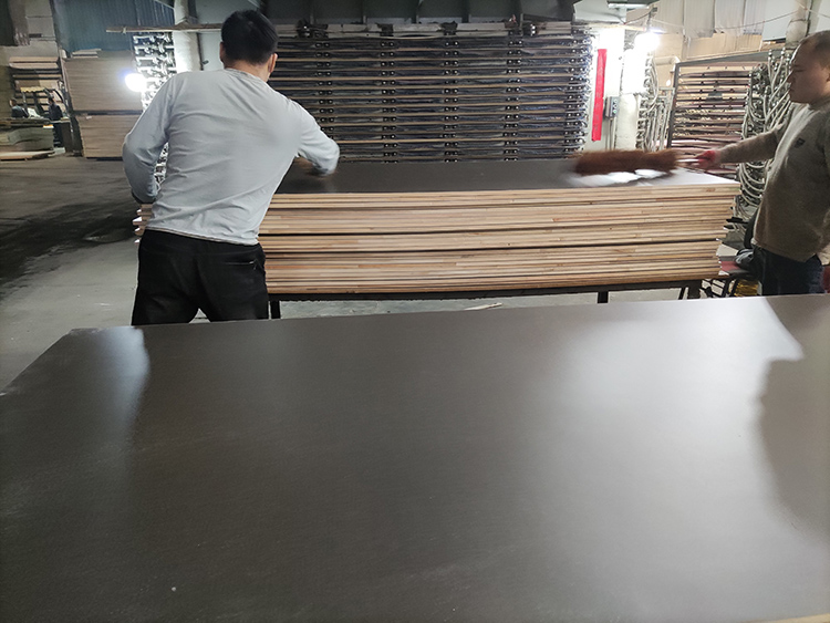 Melamine Blockboard(图3)