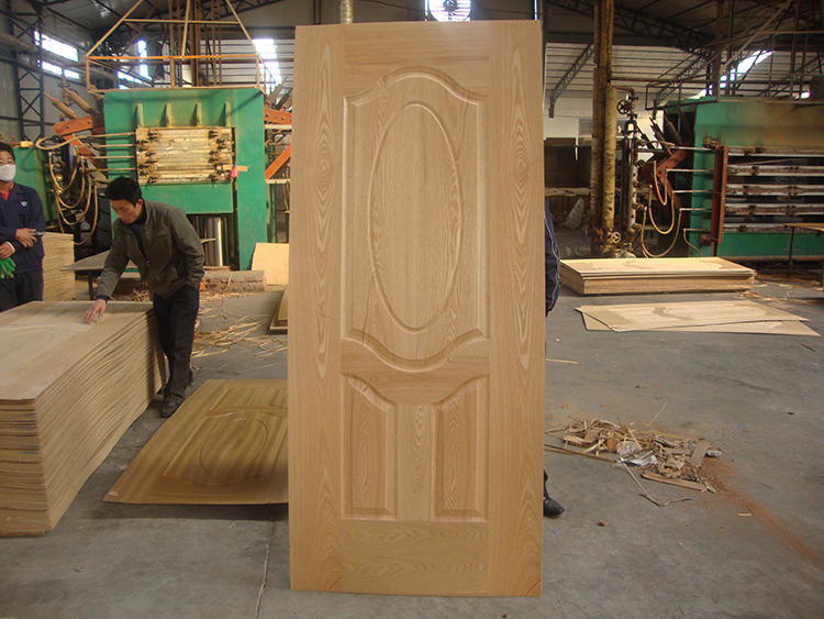 Door skin(图1)