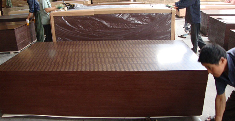 Film faced Plywood(图2)