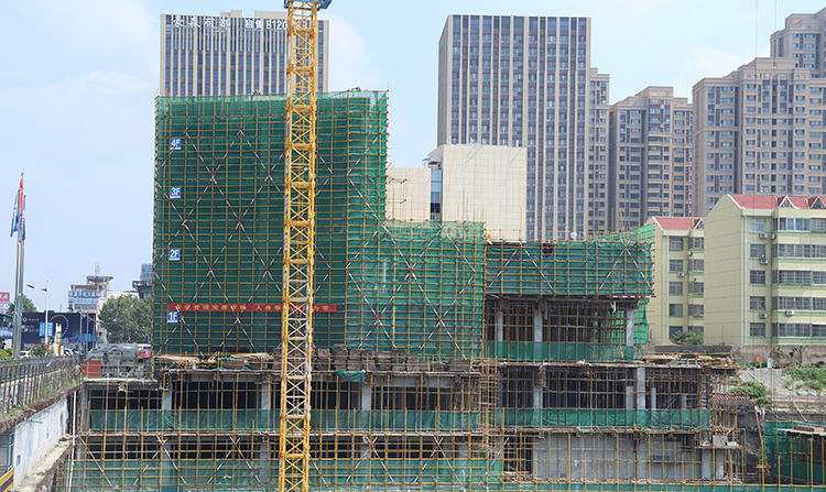 Film faced Plywood(图5)