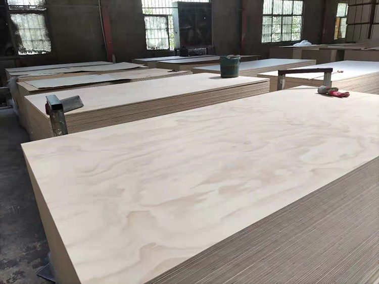 Radiata pine plywood(图2)