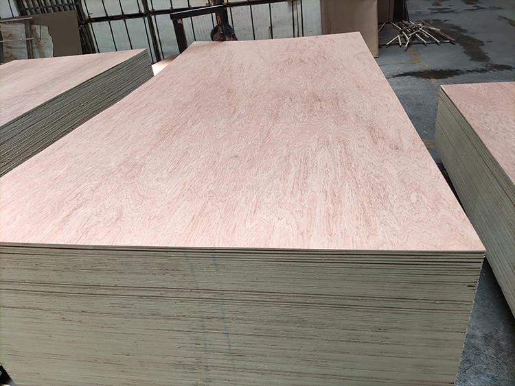 Bingtangor Plywood(图3)