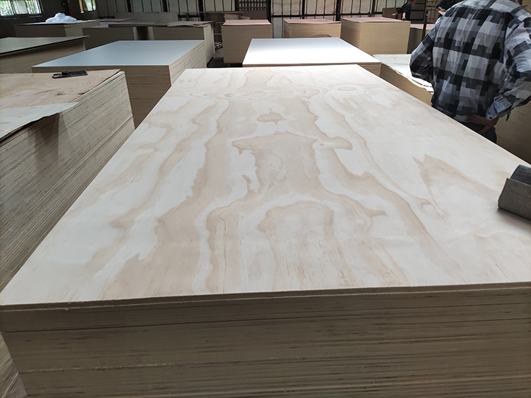 Radiata pine plywood(图1)