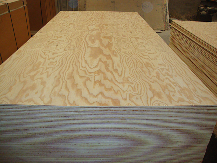 Larch Plywood(图2)