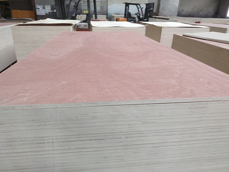 Bingtangor Plywood(图2)