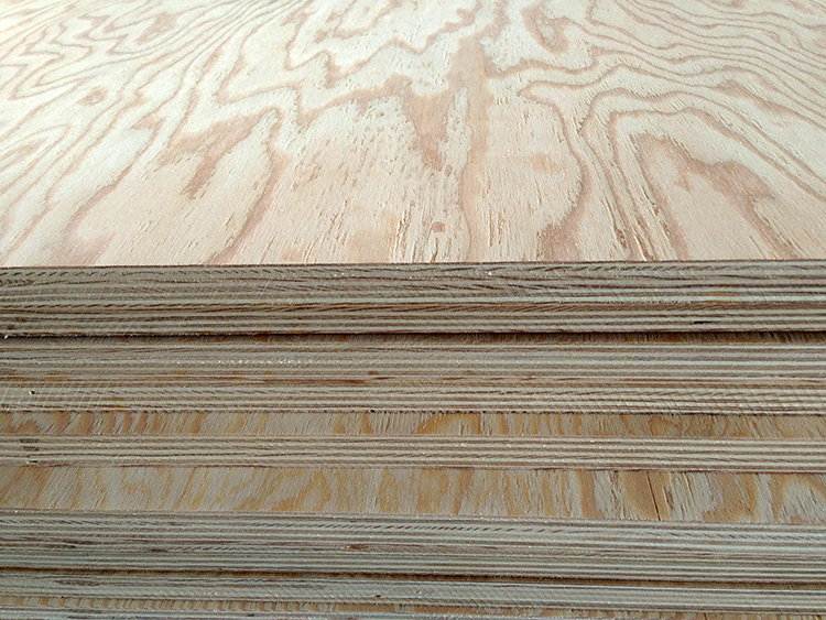 Larch Plywood(图4)