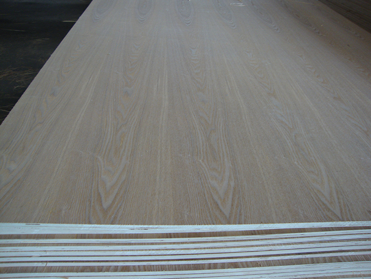 Ash Veneered Plywood(图1)