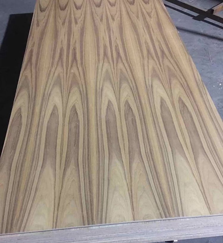 Teak Plywood(图2)