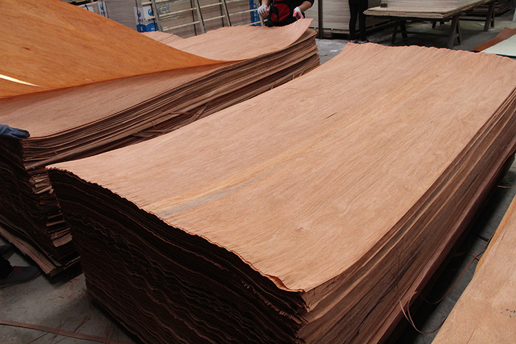 PLB Veneer(图1)