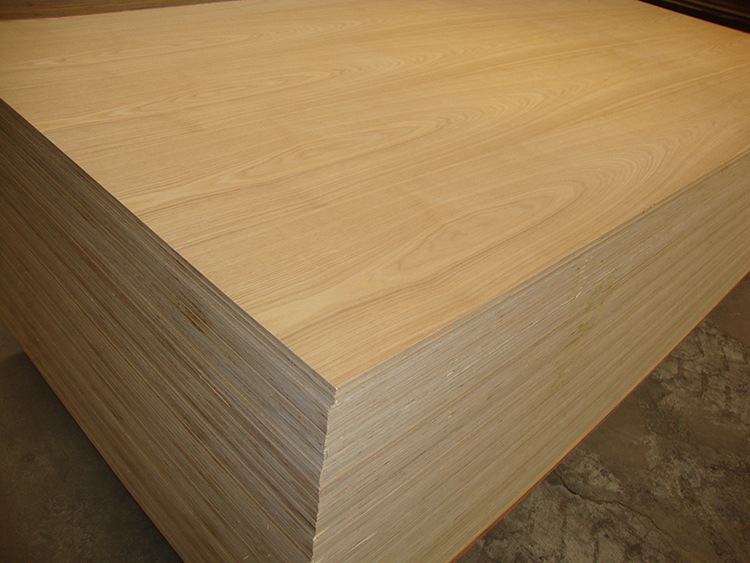 Ash Veneered Plywood(图3)
