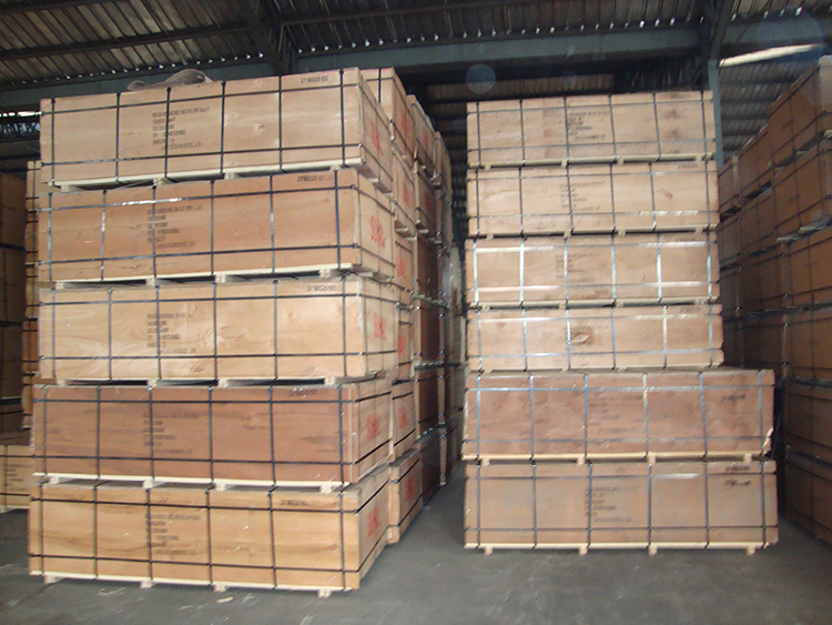 Beech Plywood(图4)