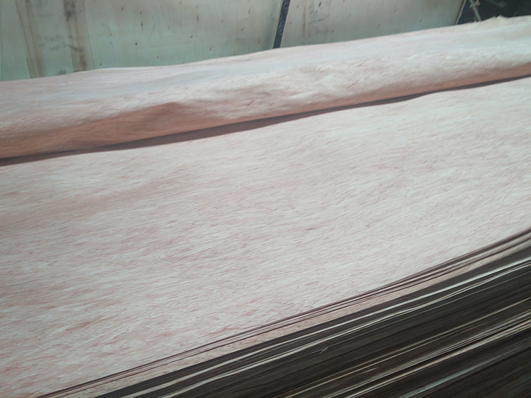 Bingtangor Veneer(图1)
