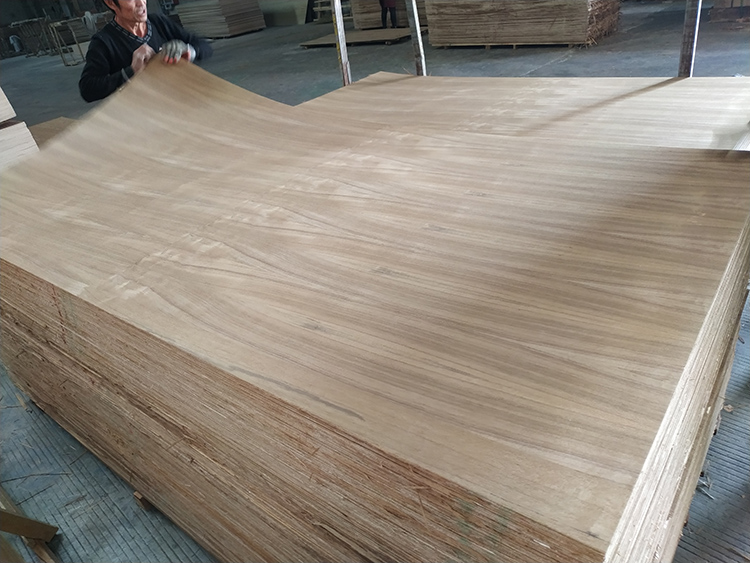 Teak Plywood(图3)
