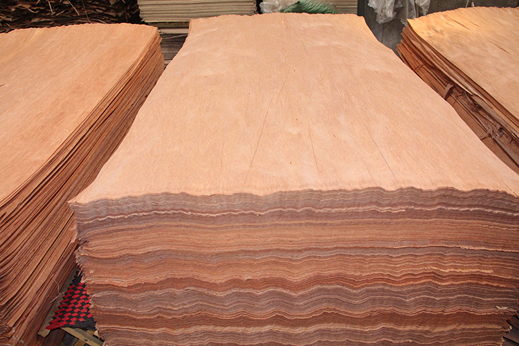 PLB Veneer(图2)