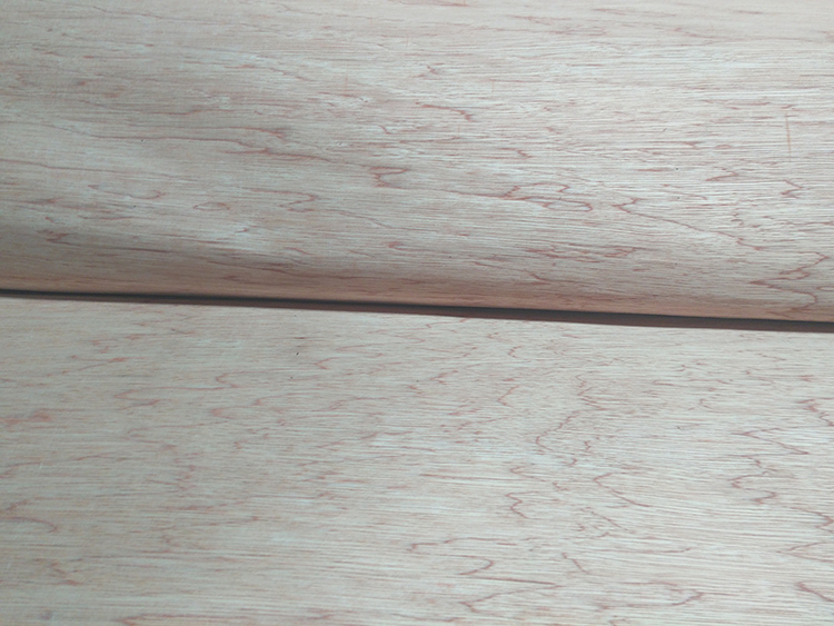 Bingtangor Veneer(图2)