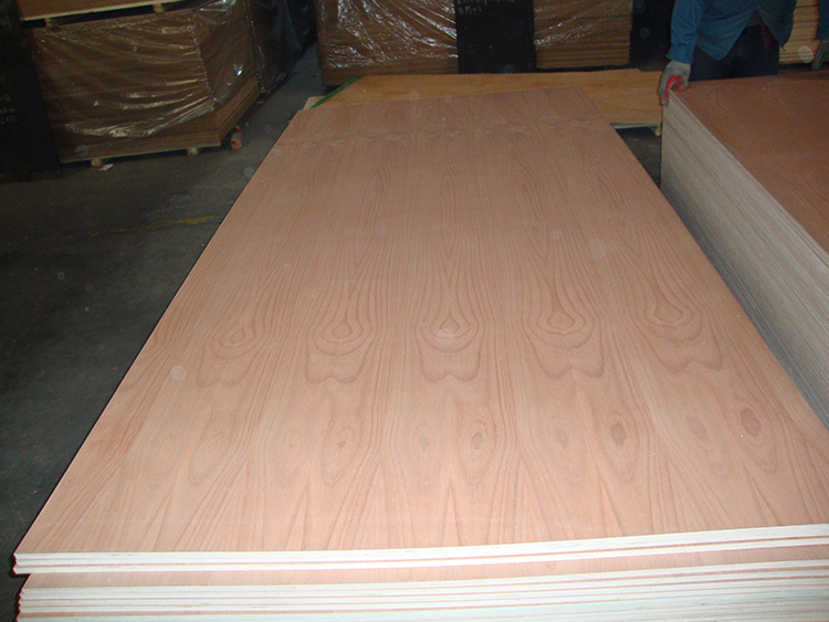 Beech Plywood(图3)