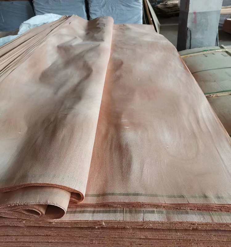 Okume Veneer(图3)