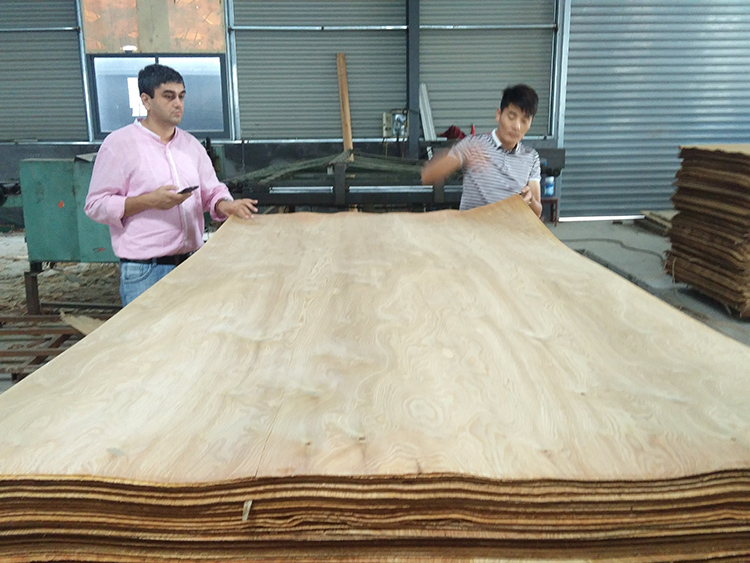Larch veneer(图1)