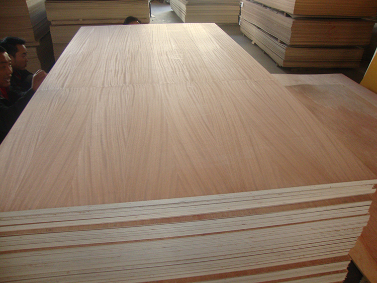 Sapele Plywood(图1)