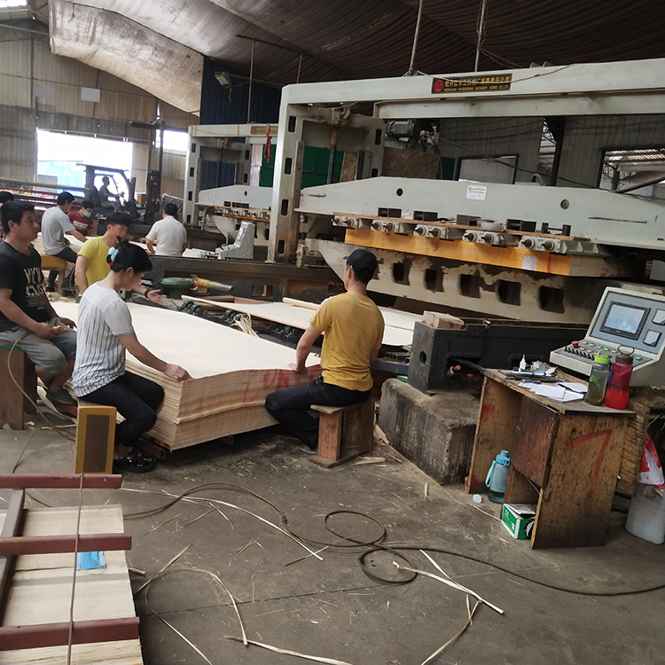 Engineered Veneer(图3)