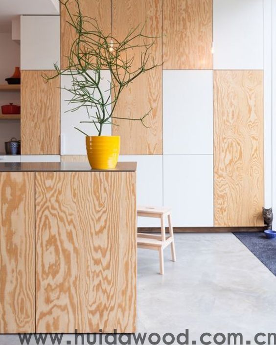 Larch Plywood(图5)